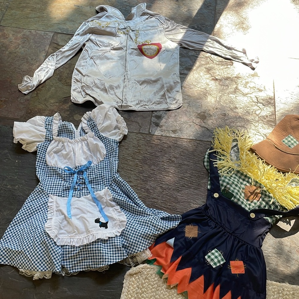 Wizard of Oz Family Halloween Costume Dorothy tin man scarecrow